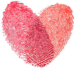 W020201128367170963132.png